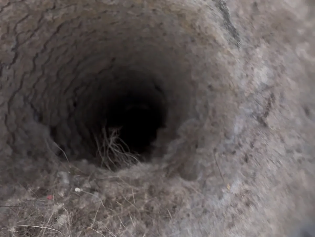 Clogged dryer vent with lint buildup before cleaning